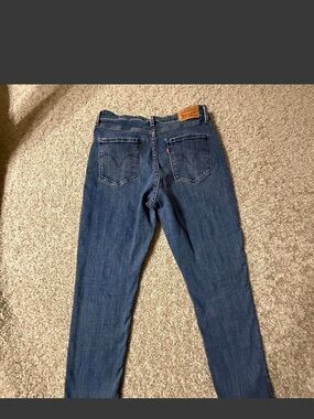 Levi’s Classic Mid Rise Skinny Jeans Size 10 Button Fly